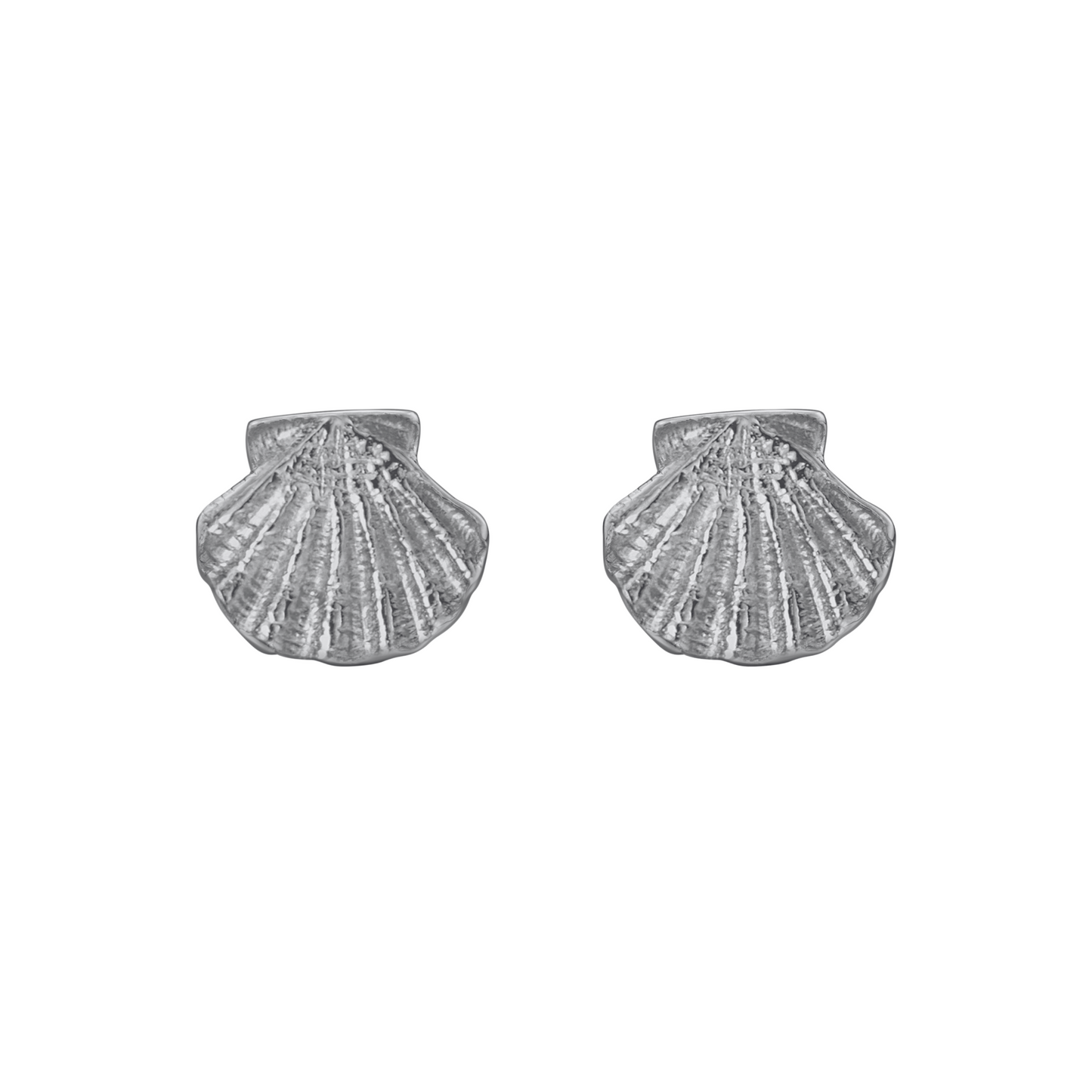 CLOUS D'OREILLES COQUILLES SAINT JACQUES ARGENTEE - SAINTE JAKEZ